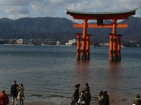 torii2.jpg